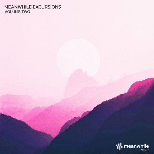 VA - Meanwhile Excursions, Vol. 2 (2022) (MP3)