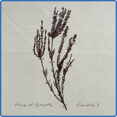 Hawktail - Place of Growth (2022)