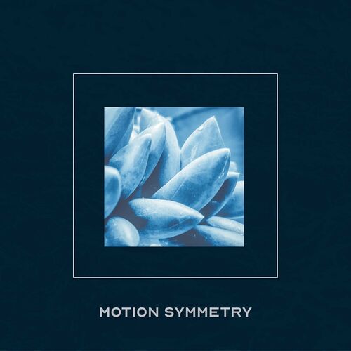 VA - Motion Symmetry - Strobe Bloom (2022) (MP3)