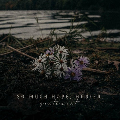 VA - So Much Hope, Buried. - Sentiment (2022) (MP3)