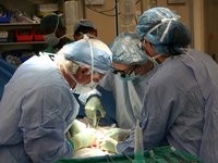 Понад 100 трансплантацій кісткового мозку проложено в Україні з початку 2022 року