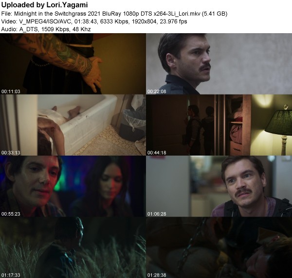 Midnight in the Switchgrass (2021) BluRay 1080p DTS x264-3Li