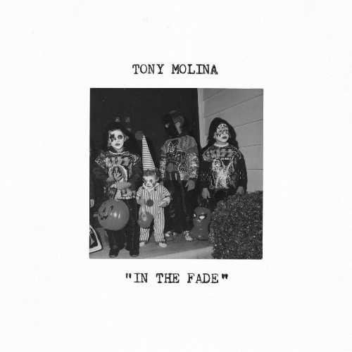 VA - Tony Molina - In the Fade (2022) (MP3)