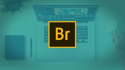 Essential Skills For Designers – Adobe Bridge