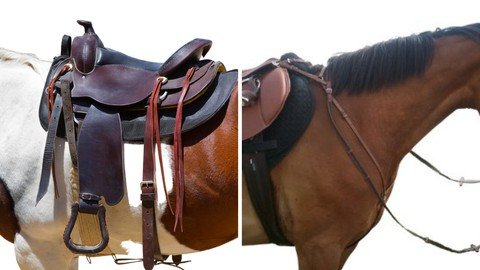 Intro To Saddle Fit And Tack Care (English & Western)