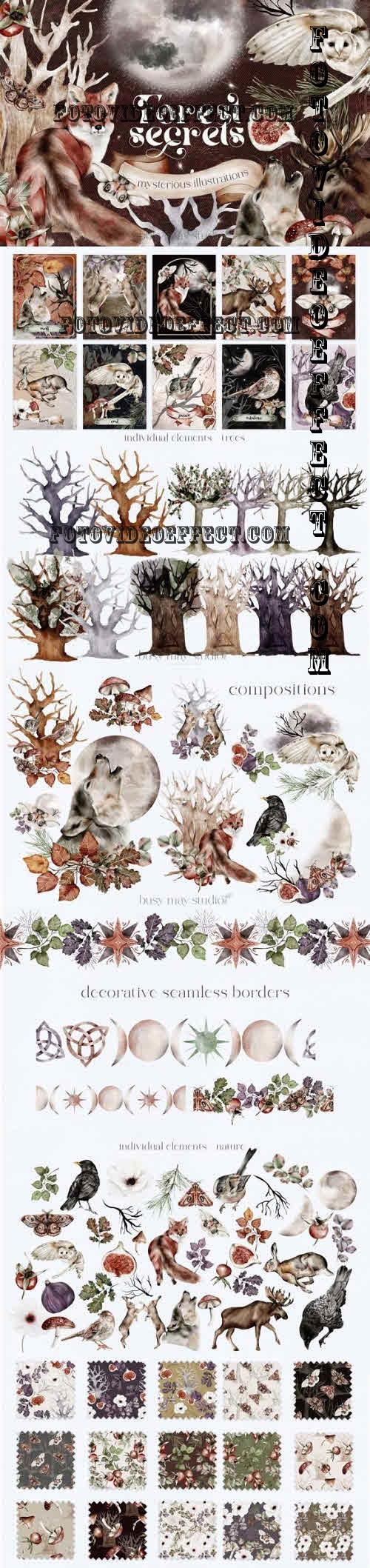 Forest Secrets - Autumn Mystic Watercolor Collection