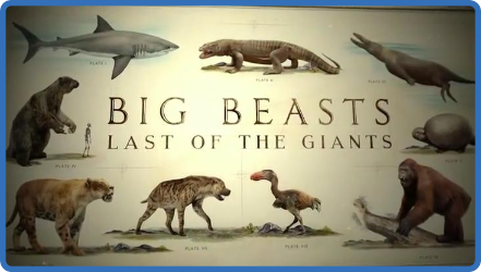 Last Of Giants Big Fish S01E01 720p HDTV x264-CBFM