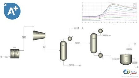 Aspen Plus V11 : Chemical Reactors