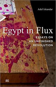 Egypt in Flux Essays on an Unfinished Revolution