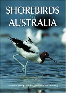 Shorebirds of Australia