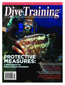 Dive Training - February 2014