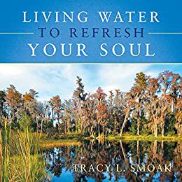 Living Water to Refresh Your Soul