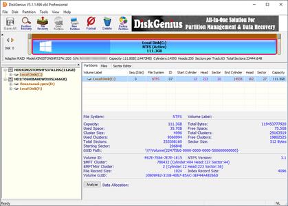 DiskGenius Professional 5.4.5.1412 Multilingual + Portable