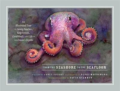 From the Seashore to the Seafloor An Illustrated Tour of Sandy Beaches, Kelp Forests, Coral Reefs, and Life in the Ocean
