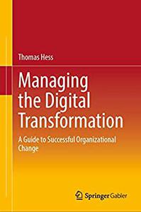 Steering Digital Transformation Strategically