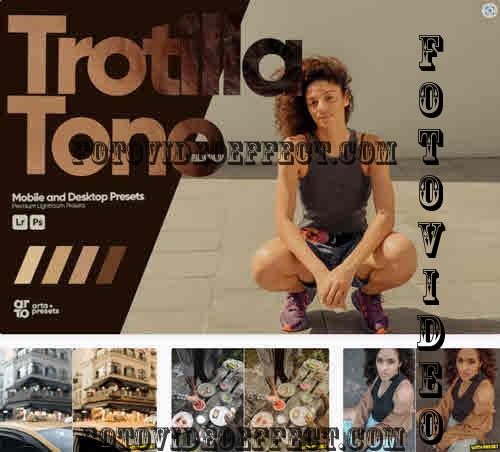 ARTA - Trotilla Tone Presets for Lightroom