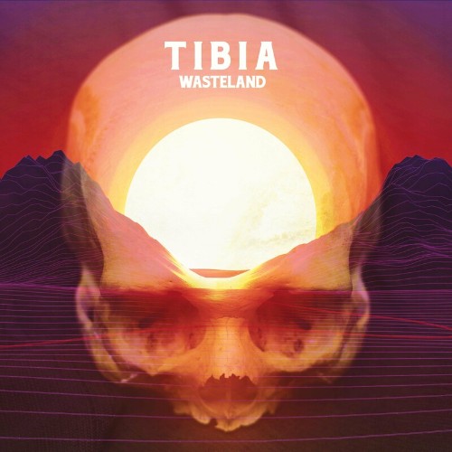 VA - Tibia - Wasteland (2022) (MP3)