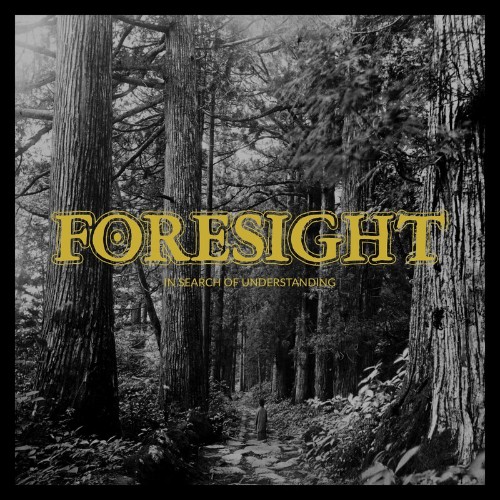 VA - Foresight - In Search Of Understanding (2022) (MP3)