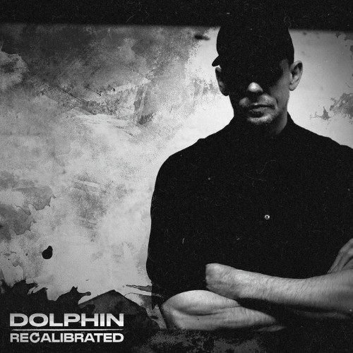 VA - Dolphin - Recalibrated (2022) (MP3)