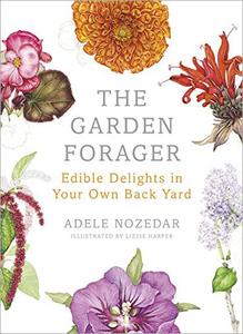 The Garden Forager Edible Delights in Your Own Back Yard