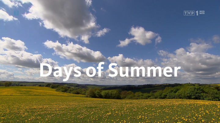 Letnie dni / Sommerwelten (2019) PL.1080i.HDTV.H264-B89 | POLSKI LEKTOR