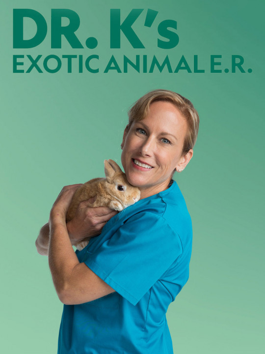 Weterynarz do zadań specjalnych / Dr. K's Exotic Animal ER (2019) [SEZON 8] PL.1080i.HDTV.H264-B89 | POLSKI LEKTOR