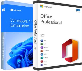 Windows 11 Enterprise 21H2 Build 22621.382 (No TPM Required) With Office 2021 Pro Plus Preactivated (x64)