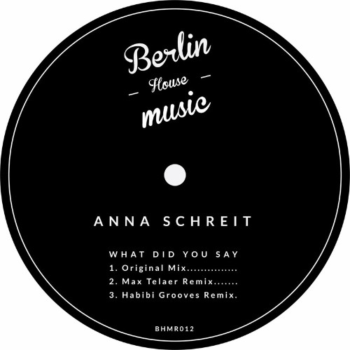 Anna Schreit - What Did You Say (2022)