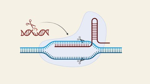 Biotechnology Gene Editing Techniques