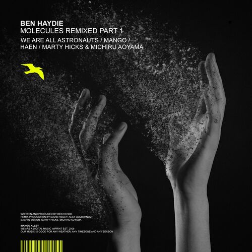 VA - Ben Haydie - Molecules Remixed, Pt. 1 (2022) (MP3)
