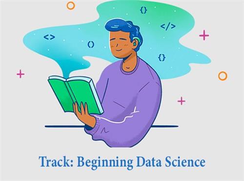 TeamTreeHouse - Track Beginning Data Science