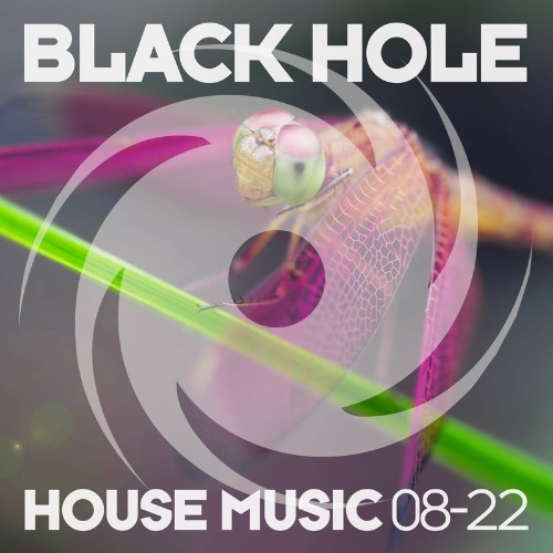 VA - Black Hole House Music 08-22 (2022) (MP3)