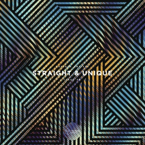 VA - Straight & Unique Issue 39 (2022) (MP3)