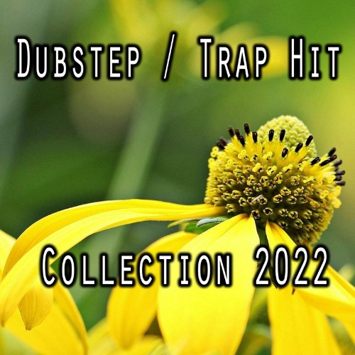 Dubstep / Trap Hit Collection 2022 (2022)