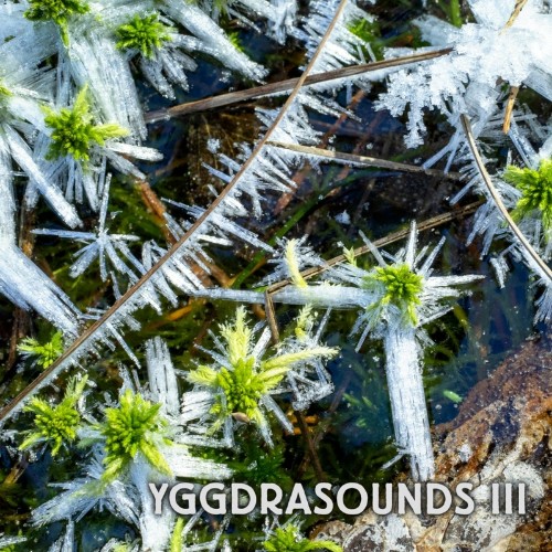 VA - Yggdrasounds III (2022) (MP3)