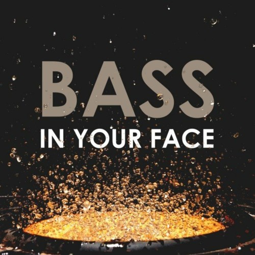 VA - On A Break - Bass in Your Face (2022) (MP3)
