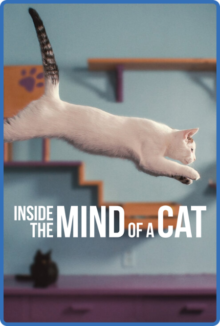 Inside The Mind of a Cat 2022 720p WEB h264-KOGi