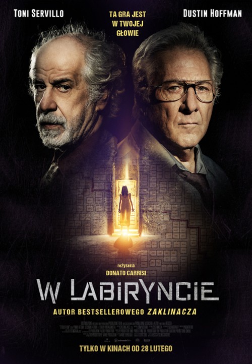 W labiryncie / L'uomo del labirinto (2019) PL.720p.WEB-DL.XviD.AC3-LTS ~ Lektor PL