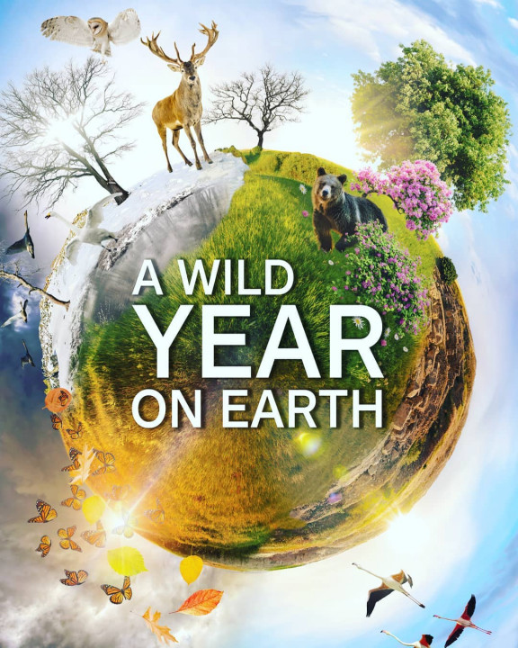 Rok z dziką przyrodą / A Wild Year on Earth (2020) [SEZON 1] PL.1080i.HDTV.H264-B89 | POLSKI LEKTOR