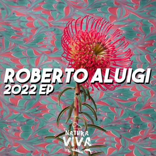 VA - Roberto Aluigi - 2022 Ep (2022) (MP3)