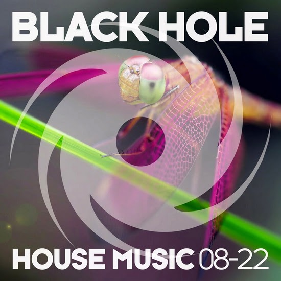 VA - Black Hole House Music 08-22