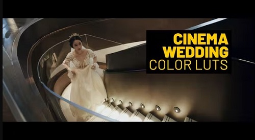 Videohive - Cinema Wedding 39235777 - Project For Final Cut Pro X