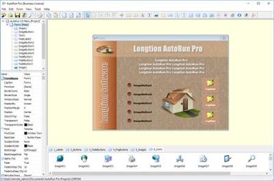 Longtion AutoRun Pro 8.0.28.245