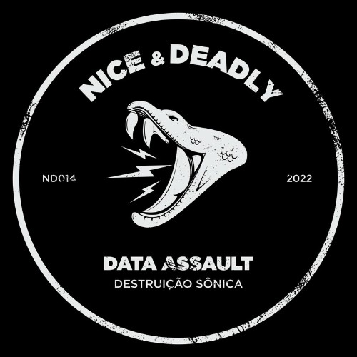 VA - Data Assault - Destruição Sônica (2022) (MP3)