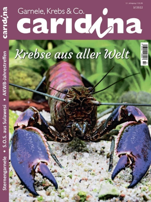 Caridina Magazin Nr 3 2022