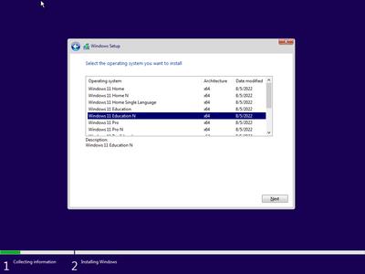 Windows 11 21H2 Build 22000.856 AIO 13in1 (No TPM Required) With Office 2021 Pro Plus Preactivated (x64)