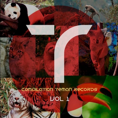 VA - Compilation Teman Records Vol 1 (2022) (MP3)