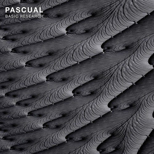 VA - Pascual - Basic Research EP (2022) (MP3)