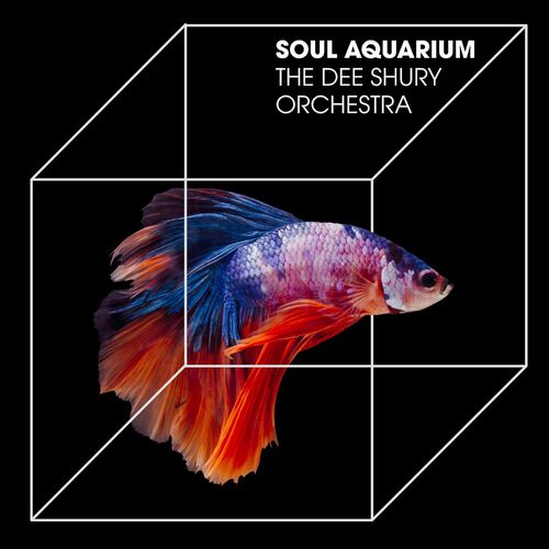 VA - The Dee Schury Orchestra - The Soul Aquarium (2022) (MP3)