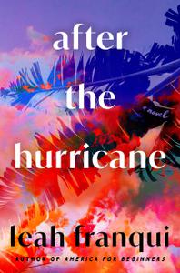 After the Hurricane A Novel